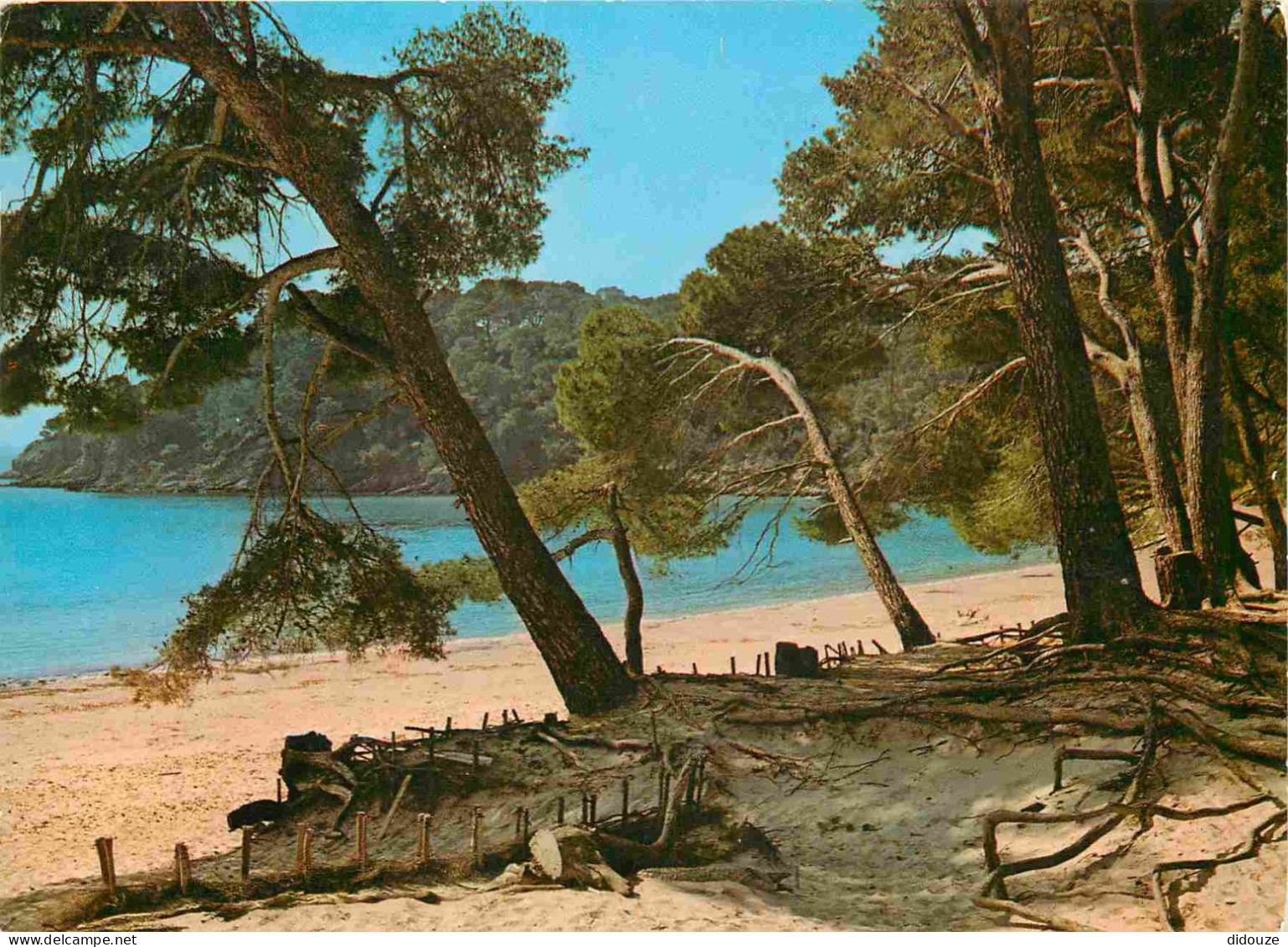 Carte Postale - 83 - Bormes les Mimosas - Plage de l'estagnol - CPM - Voir Scans Recto-Verso