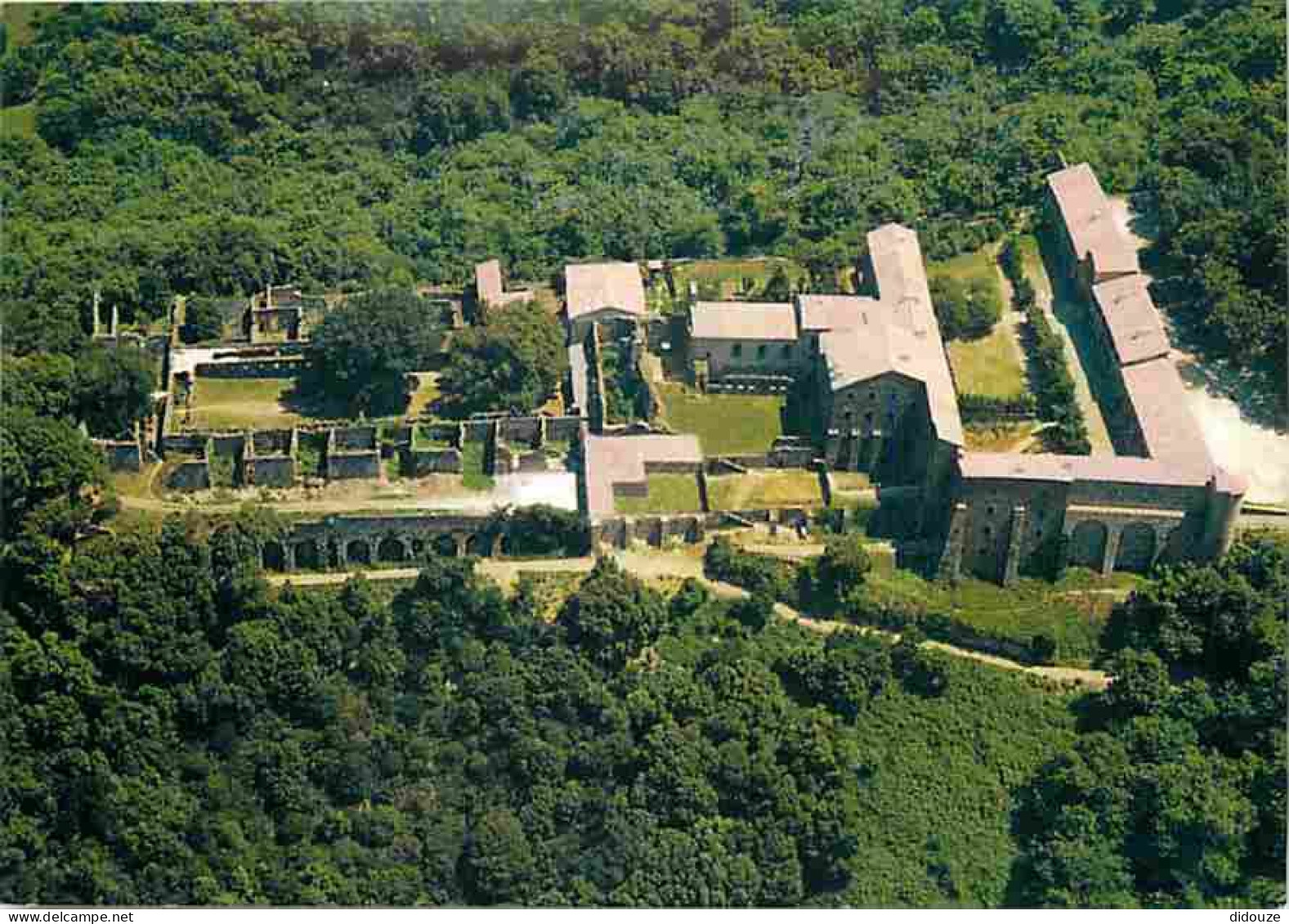 Carte Postale - 83 - Collobrières - Carte Neuve - CPM - Voir Scans Recto-Verso - Poscard - Carta Postal -  Postkarte