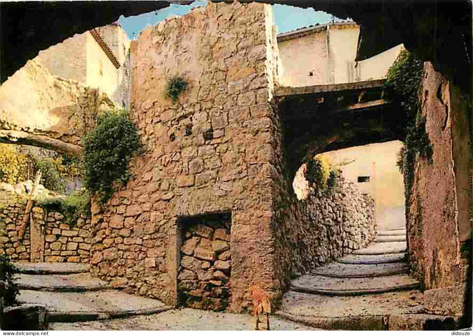 Carte Postale - 83 - Fayence - Vieille Rue - CPM - Voir Scans Recto-Verso - Poscard - Carta Postal -  Postkarte