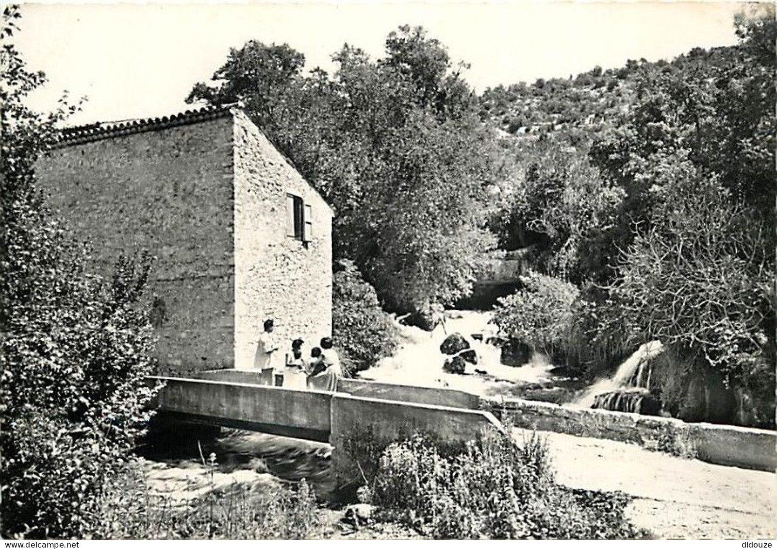 Carte Postale - 83 - Fontaine l'Eveque - Les Gorges du Verdon - La Source de Fontaine l'Evèque - Animée - Mention Photog