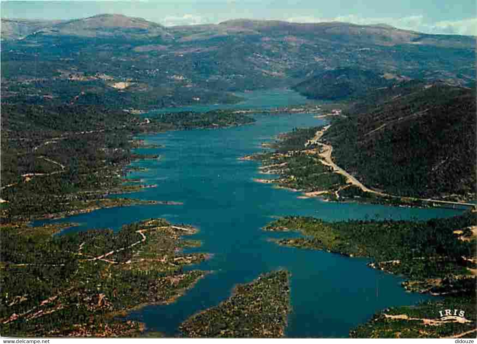 Carte Postale - 83 - Montauroux - Carte Neuve - CPM - Voir Scans Recto-Verso - Poscard - Carta Postal -  Postkarte