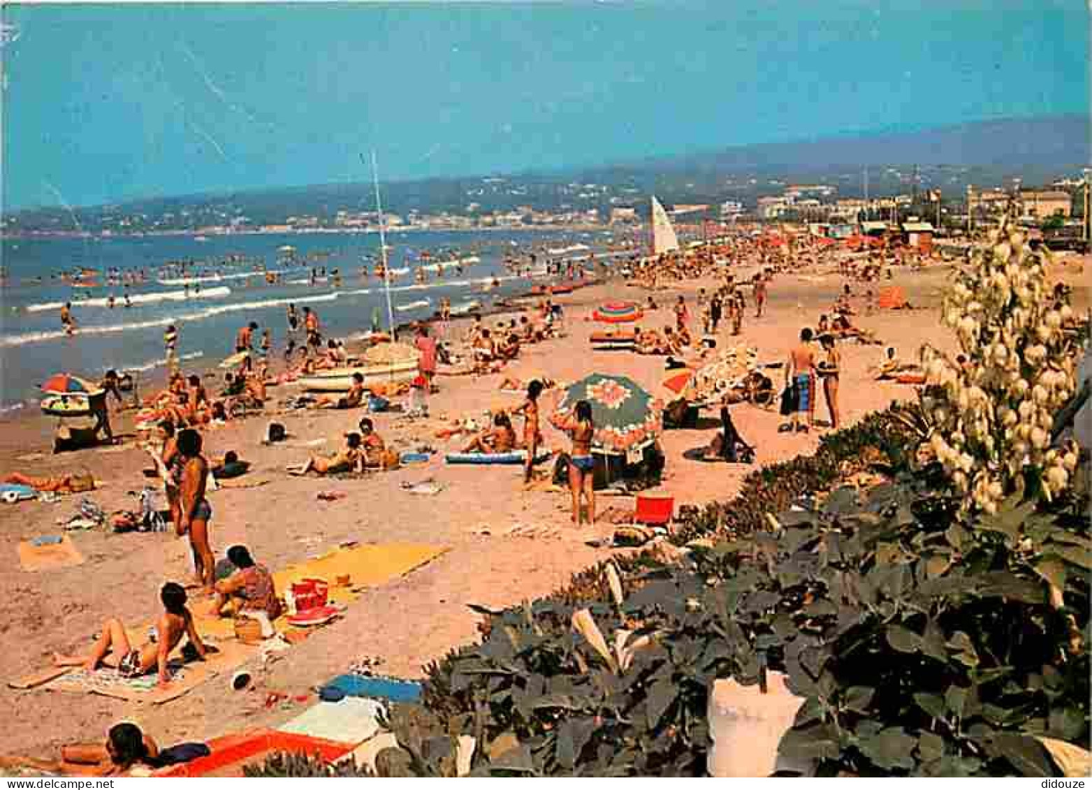 Carte Postale - 83 - Saint Cyr les Lecques - La Plage des Lecques - CPM - Voir Scans Recto-Verso - Poscard - Carta Posta