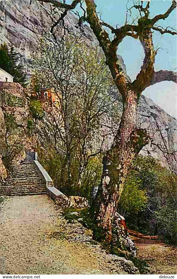 Carte Postale - 83 - Saint Maximin la Sainte Baume - Montée de la Grotte - CPM - Voir Scans Recto-Verso - Poscard - Cart