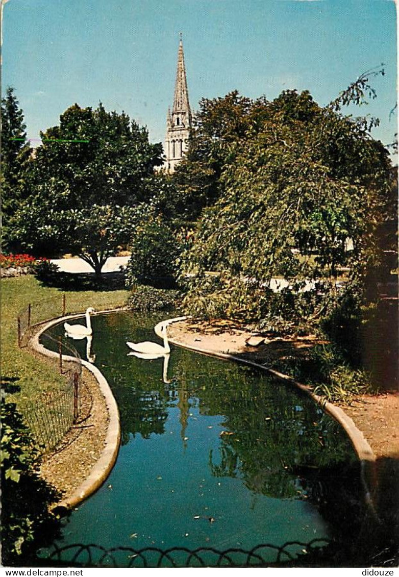 Carte Postale - 85 - Fontenay le Comte - Le Parc  les Cygnes et le Clocher - Flamme Postale de Fontenay le Comte - CPM -