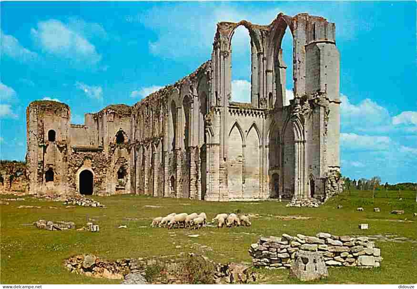 Carte Postale - 85 - Maillezais - Abbaye Saint Pierre - Moutons - CPM - Voir Scans Recto-Verso - Poscard - Carta Postal