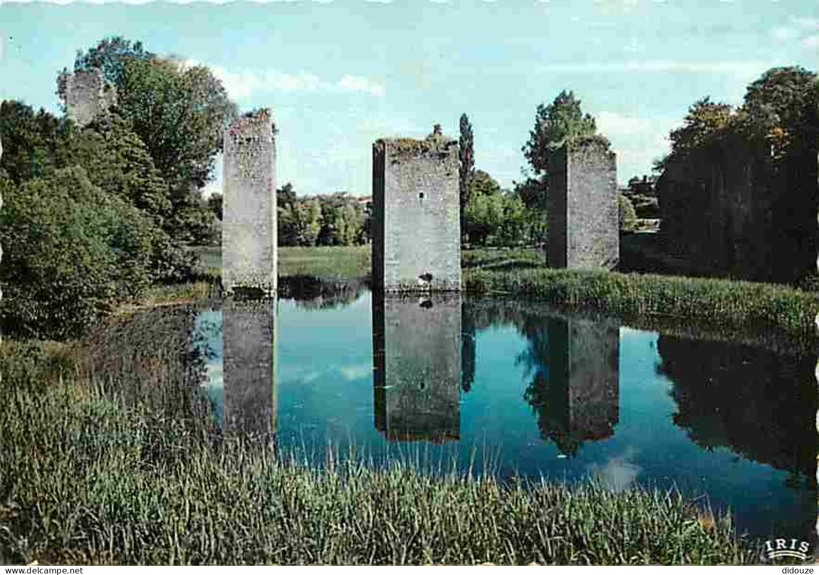 Carte Postale - 86 - Lussac les Chateaux - Ruines d'un manoir féodal - Carte Neuve - CPM - Voir Scans Recto-Verso - Posc