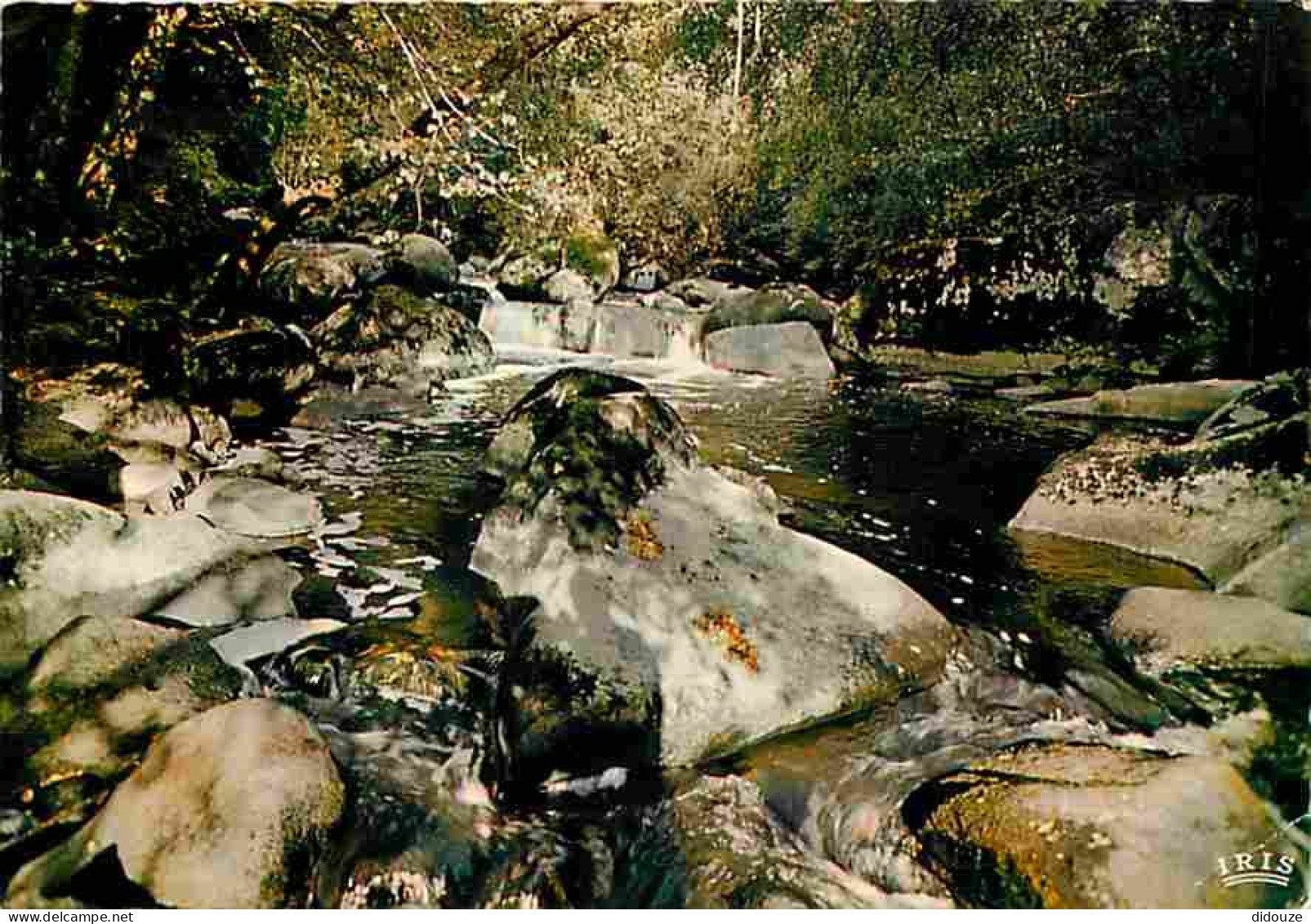 Carte Postale - 86 - Montmorillon - Le saut de la Brame aux environs de Montmorillon - Carte Neuve - CPM - Voir Scans Re