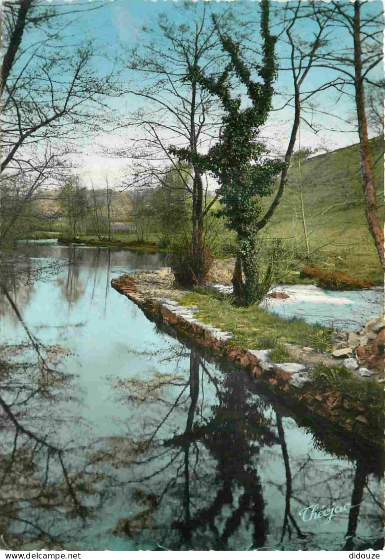 Carte Postale - 87 - Chateauneuf la Forêt - La Combade aux environs de Châteauneuf la Forêt - Carte Dentelée - CPSM gran