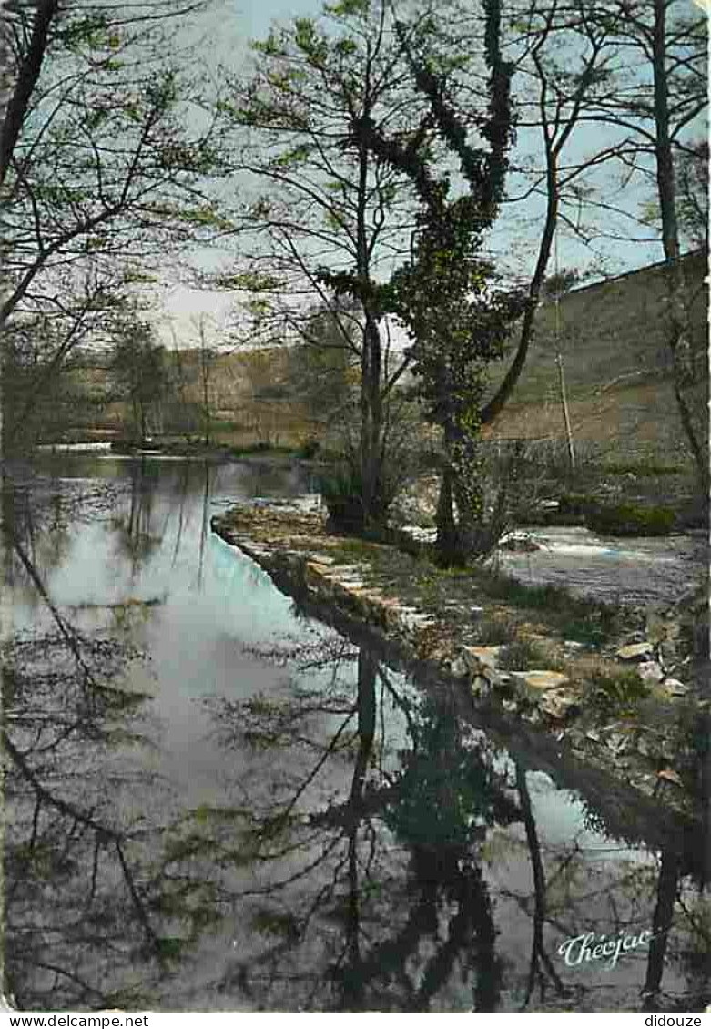 Carte Postale - 87 - Chateauneuf la Foret - La Combade aux environs de Châteauneuf la Foret - CPM - Voir Scans Recto-Ver