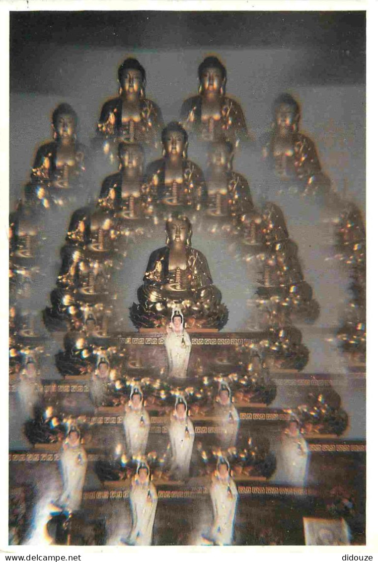 Carte Postale - 87 - Chateauponsac - Hameau des Bosnages Rançon - Les Bouddhas - Tung-Lam Linh Son International Dhammav