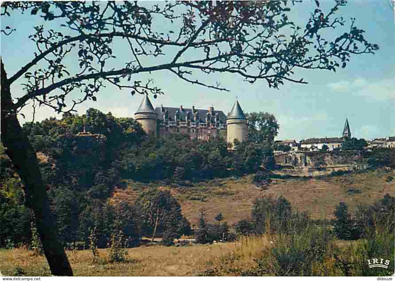 Carte Postale - 87 - Rochechouart - Le Château - CPM - Voir Scans Recto-Verso - Poscard - Carta Postal -  Postkarte
