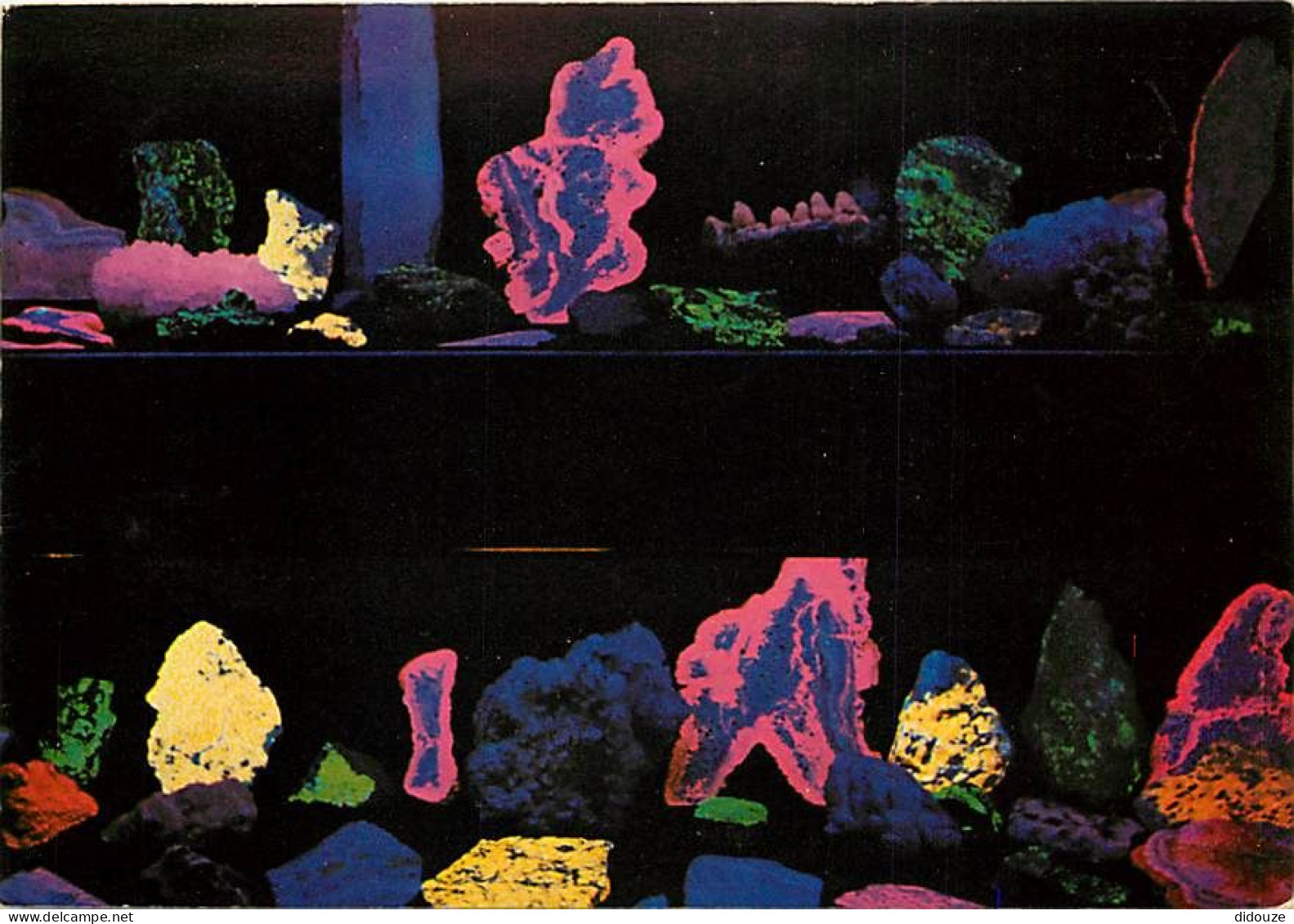 Carte Postale - 88 - Xonrupt-Longemer - La Moineaudière - Salle de Fluorescence - Expérience de la Lumière Noire - Carte