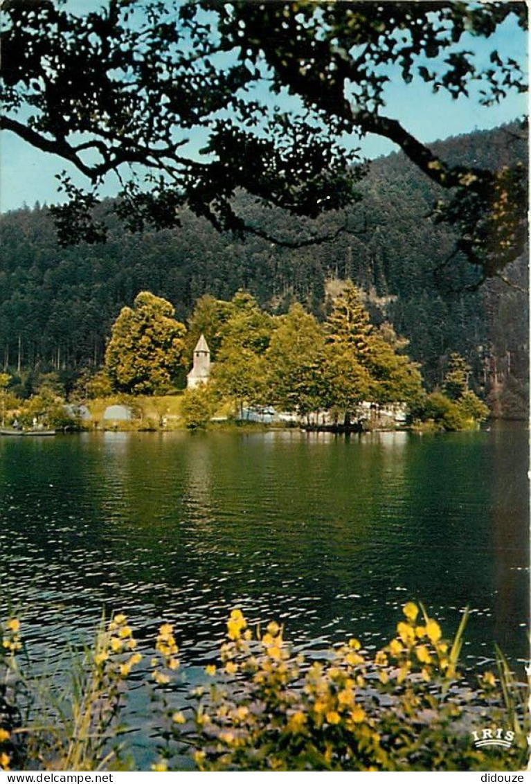 Carte Postale - 88 - Xonrupt-Longemer - Le lac de Longemer - Carte Neuve - CPM - Voir Scans Recto-Verso - Poscard - Cart