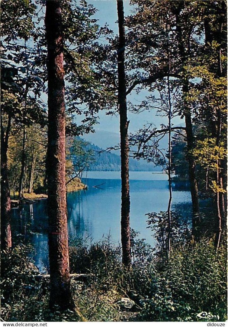 Carte Postale - 88 - Xonrupt-Longemer - Le lac de Longemer - Carte Neuve - CPM - Voir Scans Recto-Verso - Poscard - Cart