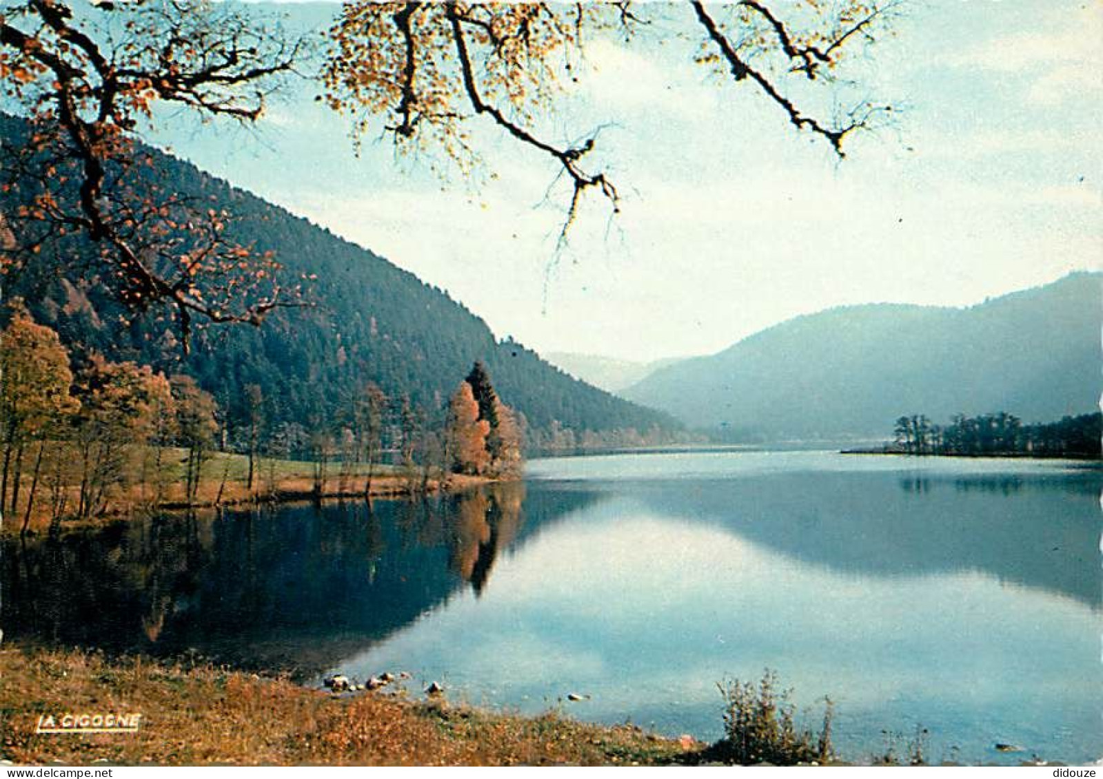 Carte Postale - 88 - Xonrupt-Longemer - Le lac de Longemer - Carte Neuve - CPM - Voir Scans Recto-Verso - Poscard - Cart