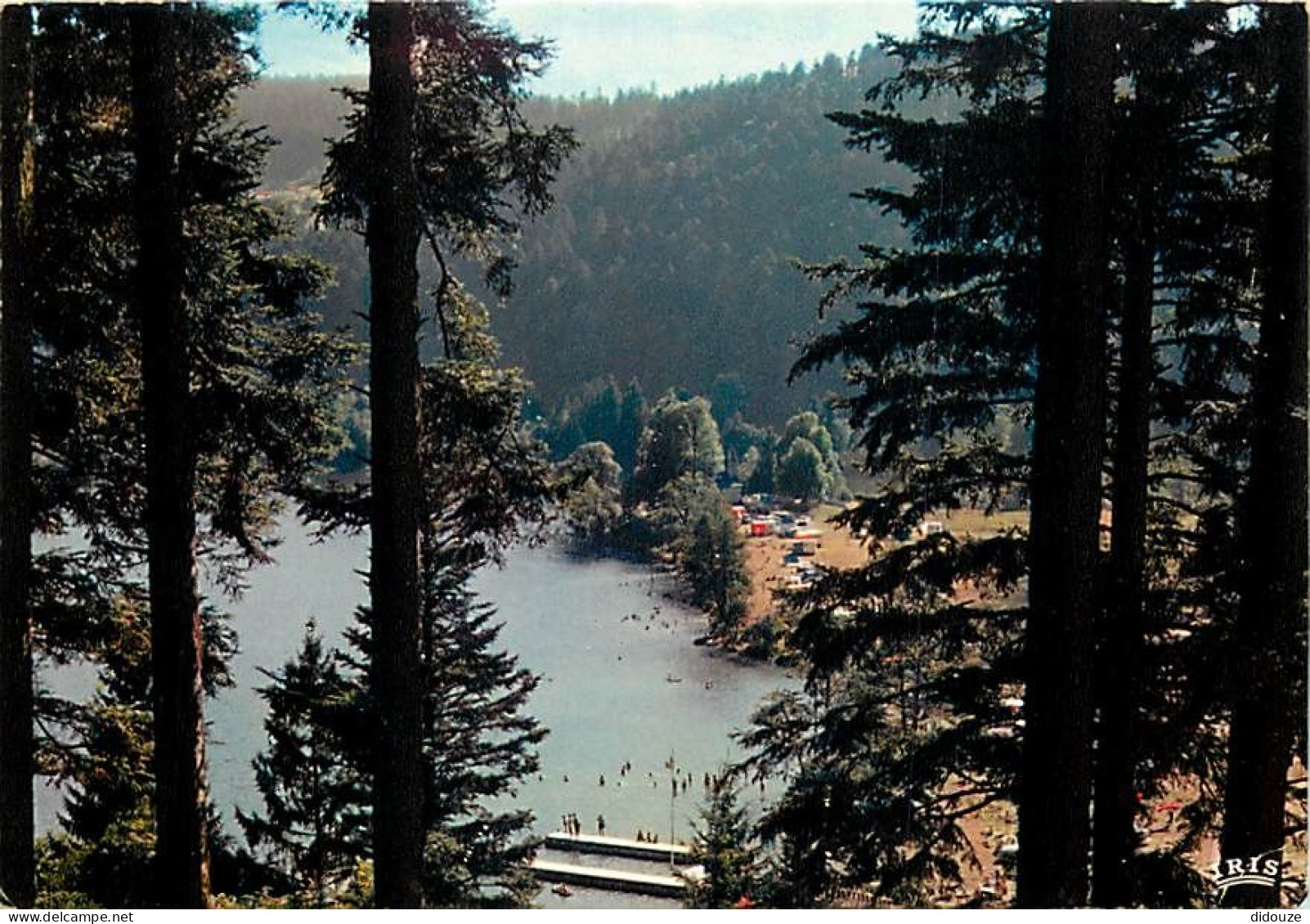 Carte Postale - 88 - Xonrupt-Longemer - Le lac de Longemer - CPM - Voir Scans Recto-Verso - Poscard - Carta Postal -  Po