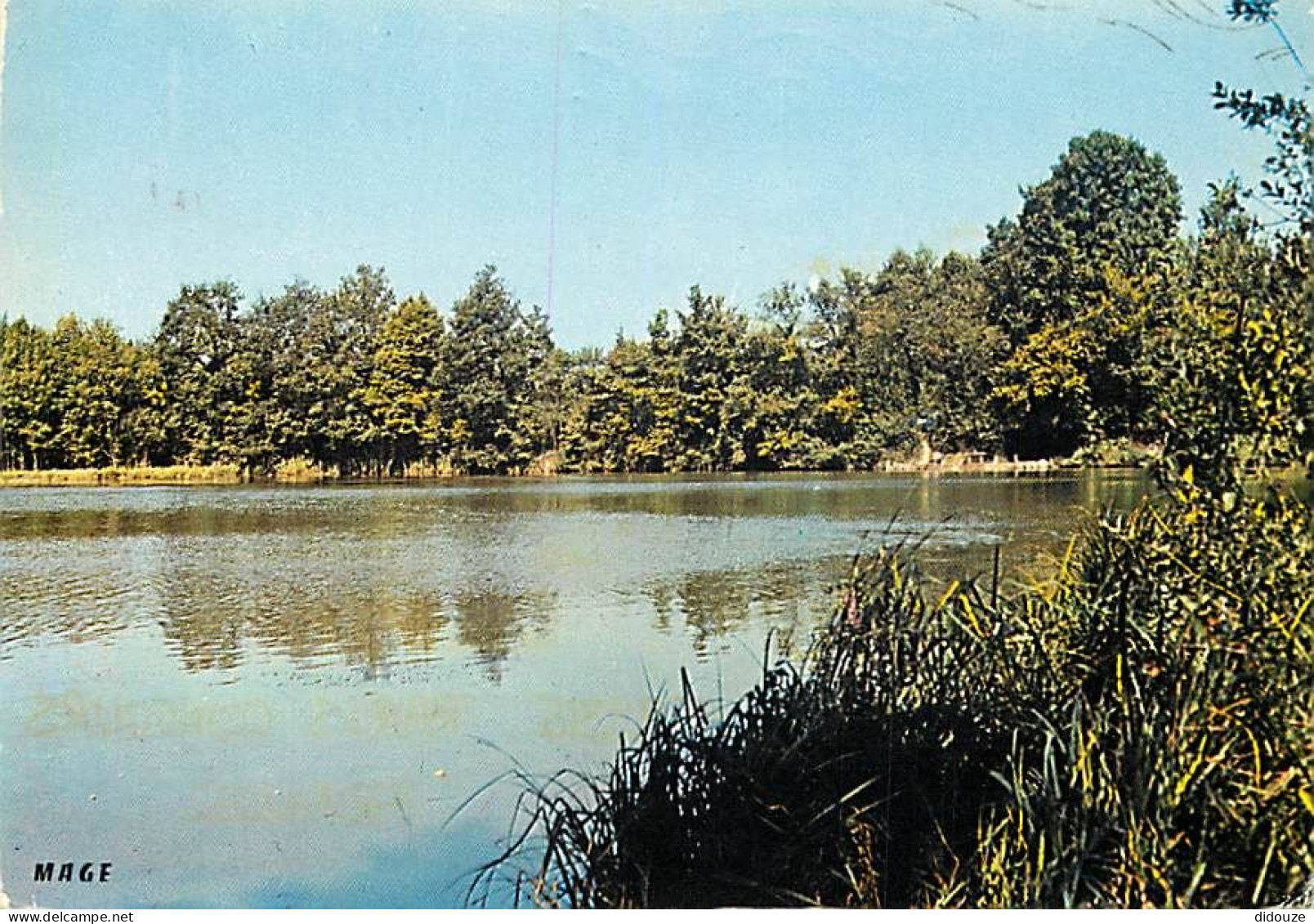 Carte Postale - 89 - Saint Valérien - Un coin de pêche - CPM - Voir Scans Recto-Verso - Poscard - Carta Postal -  Postka