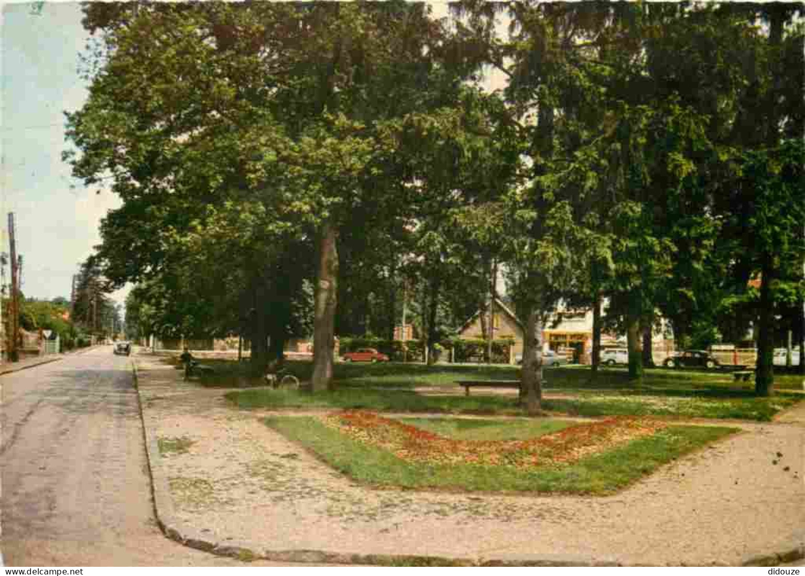 Carte Postale - 91 - Morsang sur Orge - La place des Tilleuls - Carte dentelée - CPSM grand format - Voir Scans Recto-Ve
