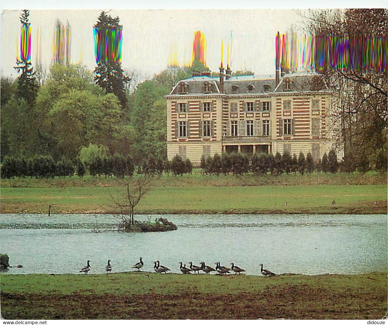 Carte Postale - 91 - Saint Vrain - Le Parc de Saint Vrain - Oies - Oiseaux - Animaux - CPM - Carte Neuve - Voir Scans Re