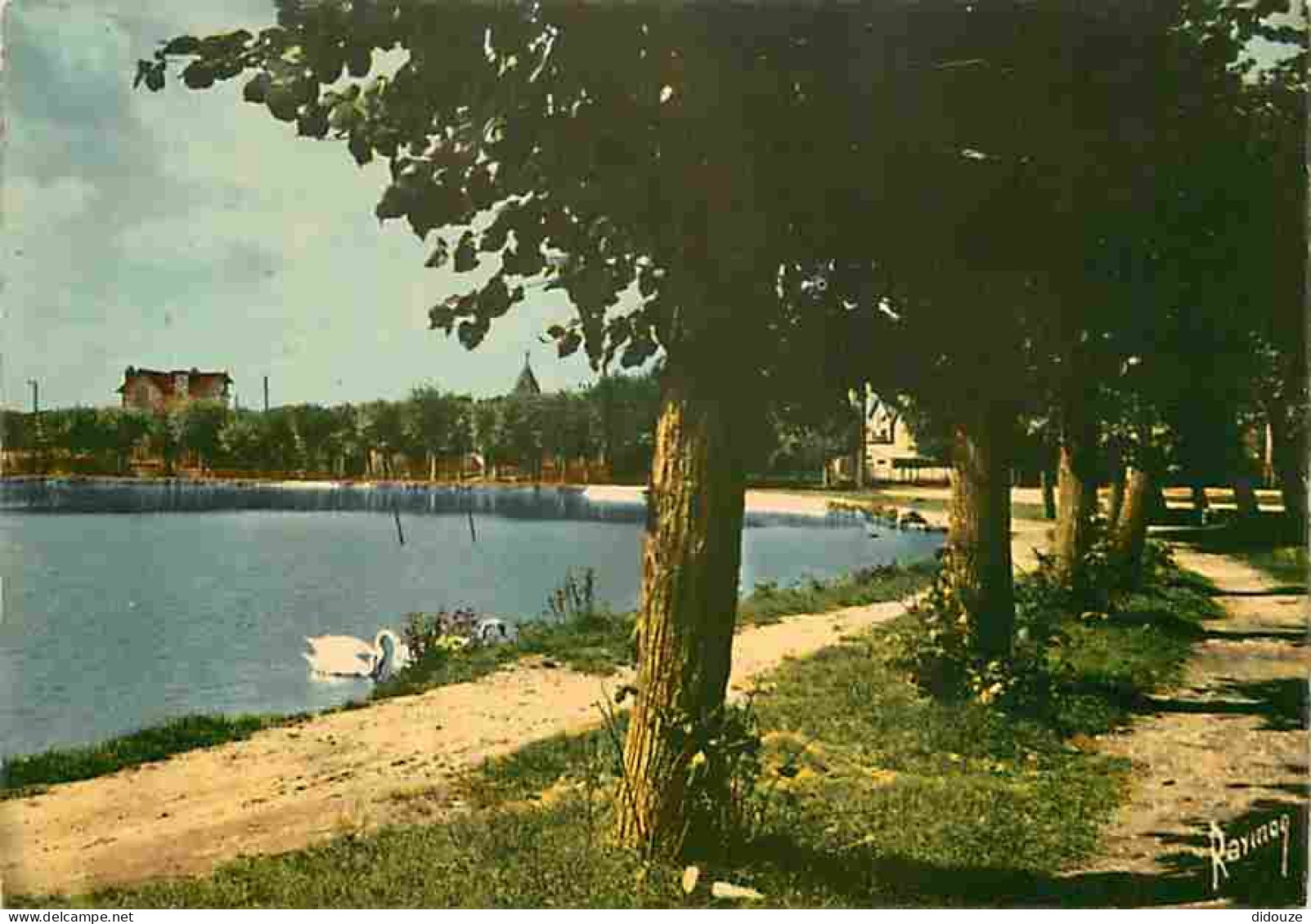 Carte Postale - 91 - Vigneux sur Seine - Le lac bleu - Cygnes - CPM - Voir Scans Recto-Verso - Poscard - Carta Postal -