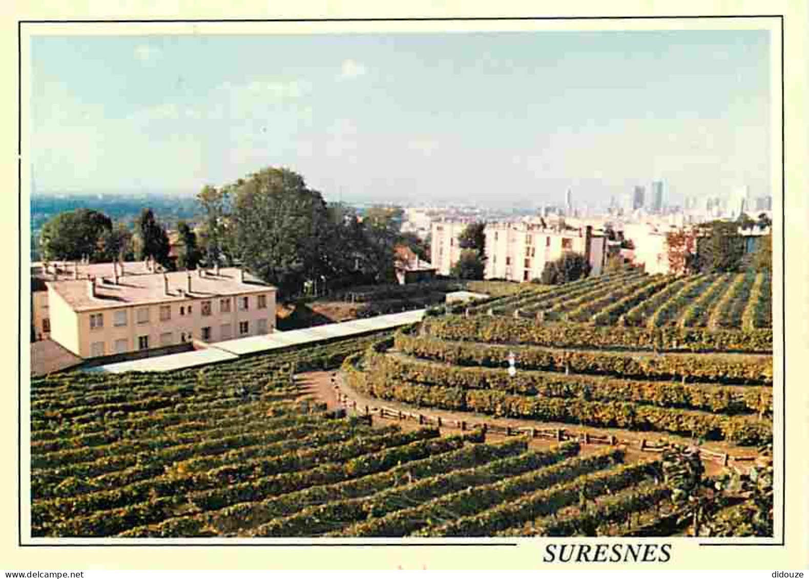 Carte Postale - 92 - Suresnes - Domaine de la Ville de Suresnes - CPM - Voir Scans Recto-Verso - Poscard - Carta Postal