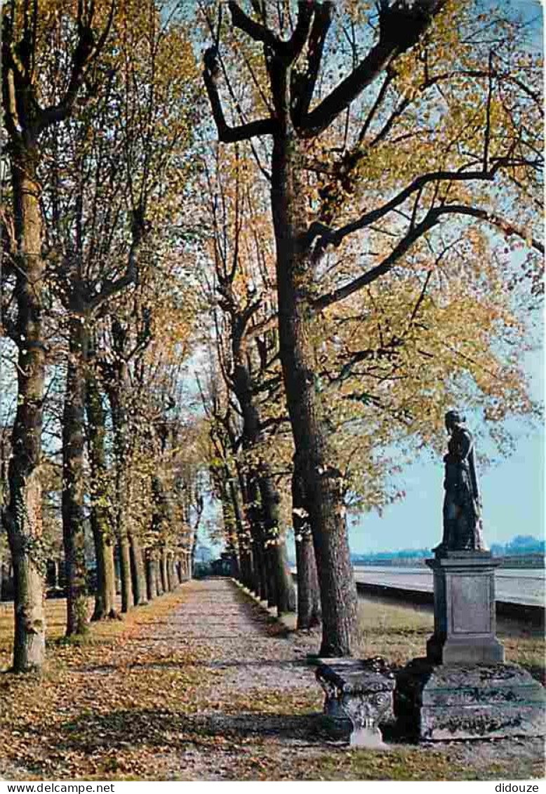Carte Postale - 94 - Boissy Saint Léger - En Foret de Boissy - Poésis d'Automne - CPM - Voir Scans Recto-Verso - Poscard