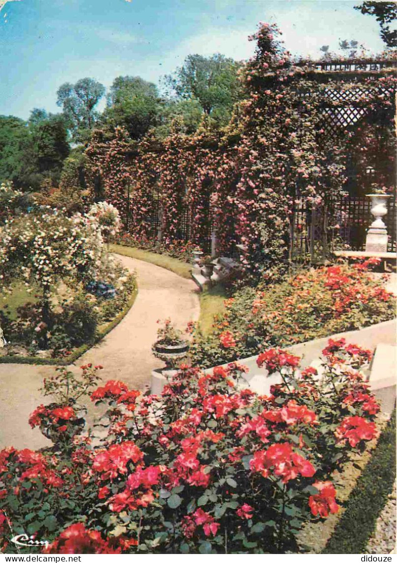 Carte Postale - 94 - L'hay-les-roses - La roseraie - Fleurs - CPM - Voir Scans Recto-Verso