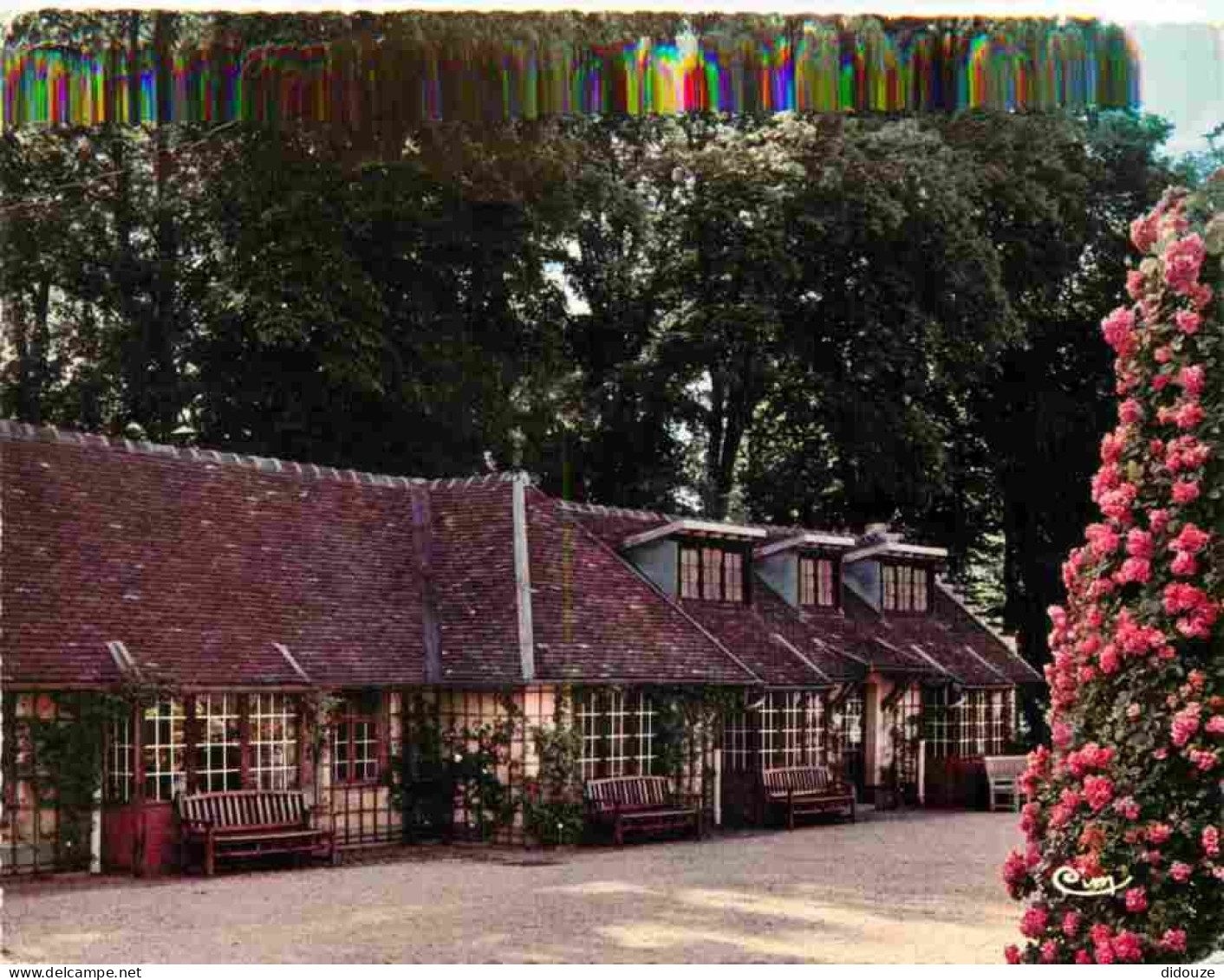 Carte Postale - 94 - L'Hay les Roses - La Roseraie - Fleurs - Roses - Carte Dentelée - CPSM grand format - Voir Scans Re