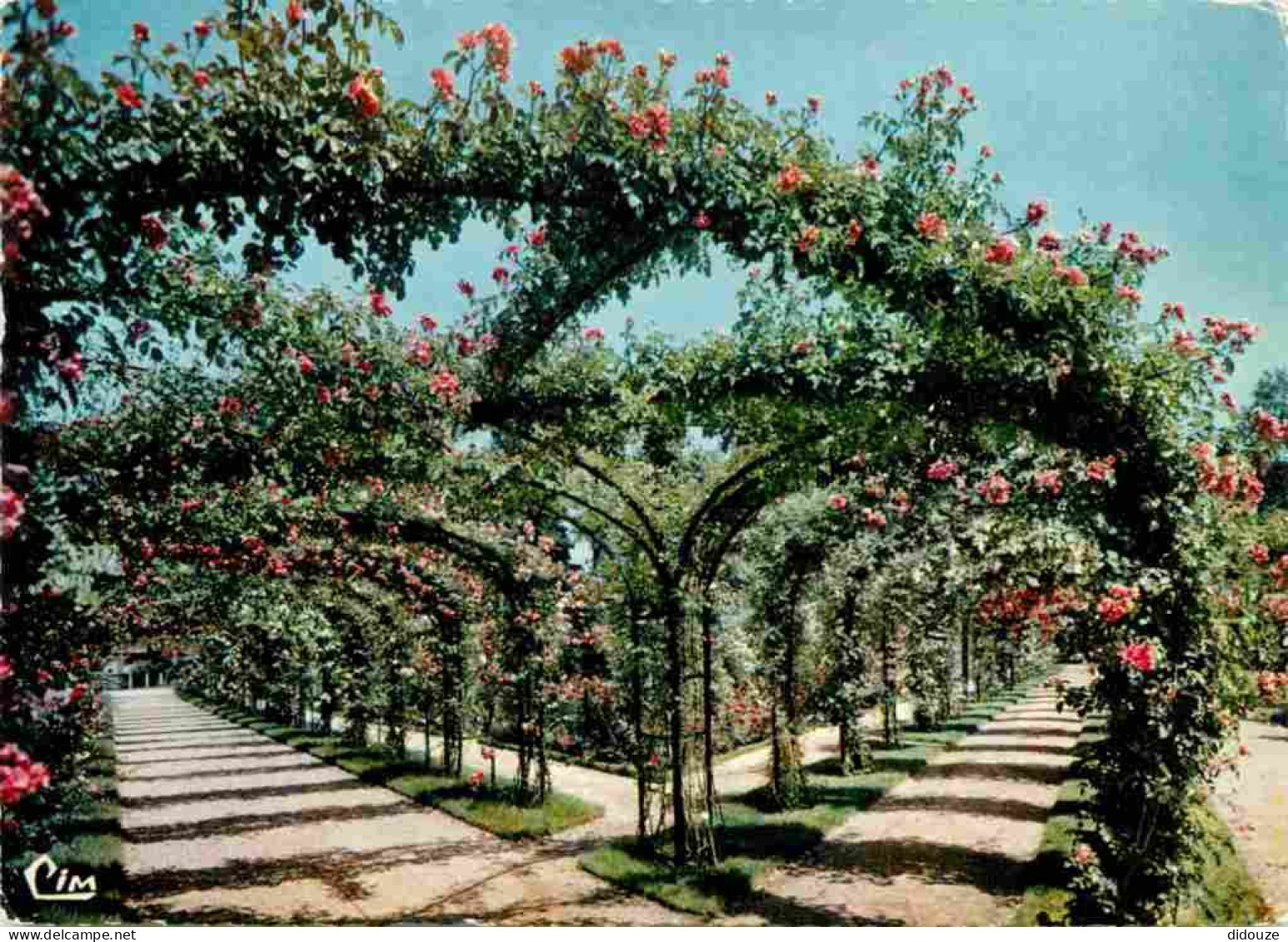 Carte Postale - 94 - L'Hay les Roses - La Roseraie - Fleurs - Roses - Carte Dentelée - CPSM grand format - Voir Scans Re