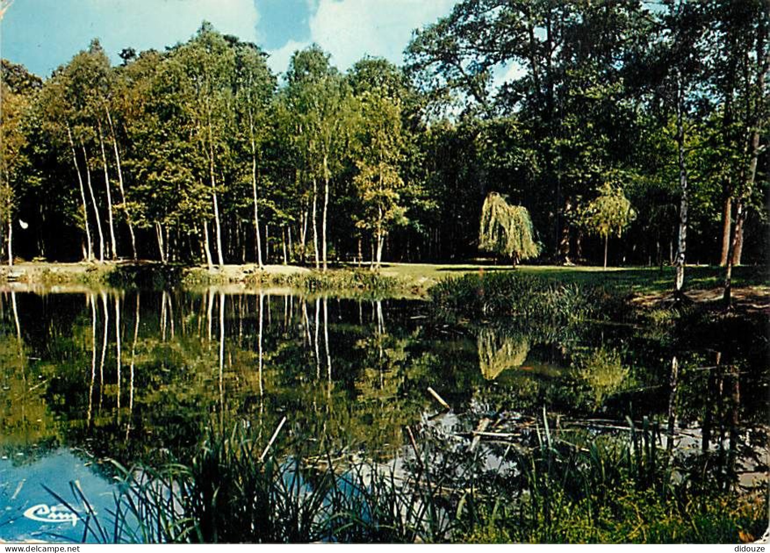 Carte Postale - 95 - Montmorency - Forêt de Montmorency - L'étang Godard - Flamme Postale de Taverny - CPM - Voir Scans