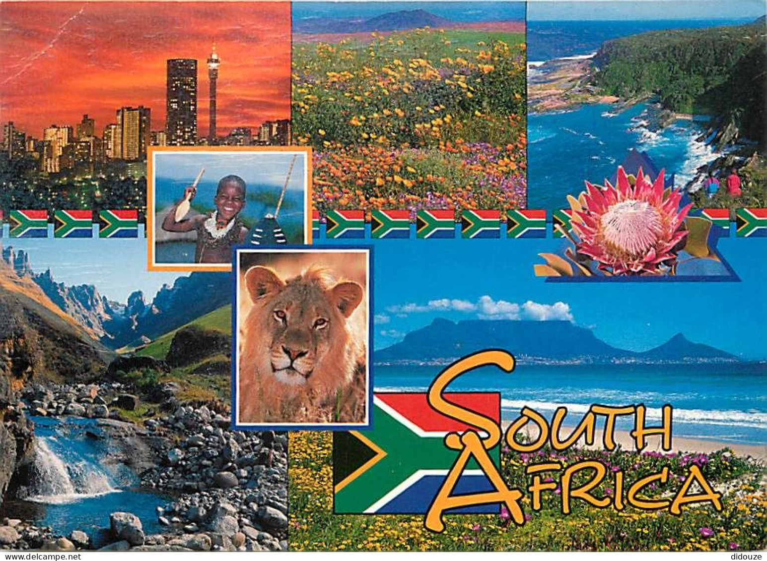 Carte Postale - Afrique du Sud - South Africa - Multivues - CPM - Voir Scans Recto-Verso - Poscard - Carta Postal -  Pos