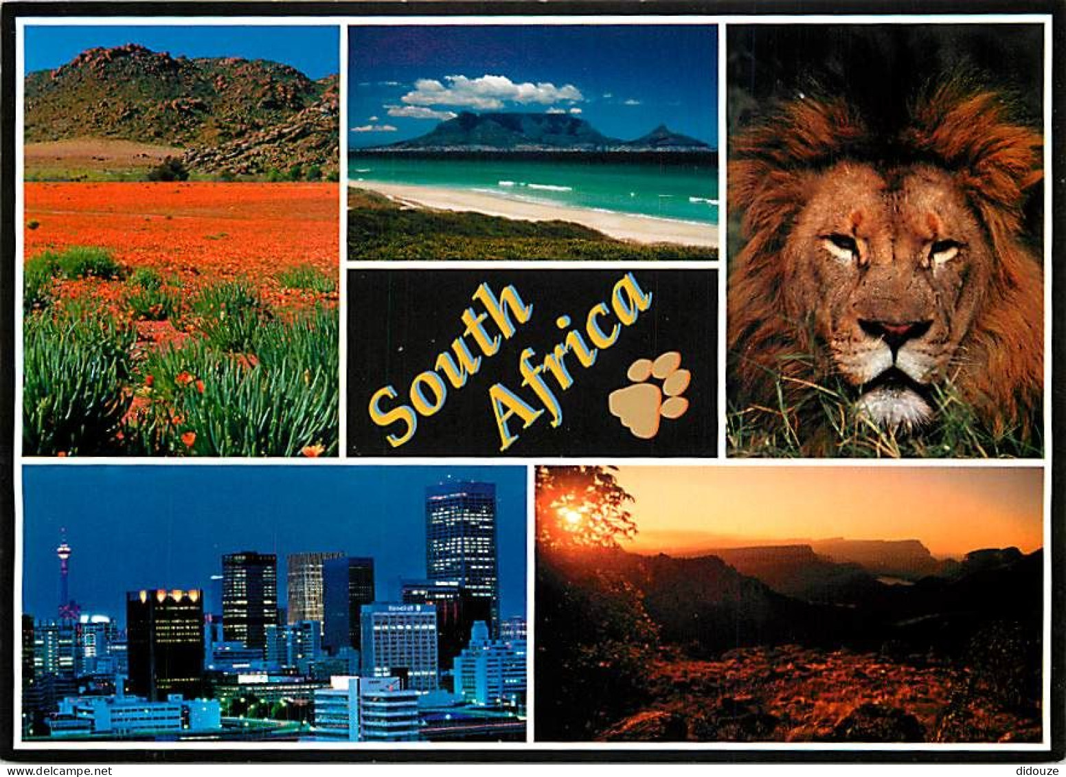 Carte Postale - Afrique du Sud - South Africa - Multivues - CPM - Voir Scans Recto-Verso - Poscard - Carta Postal -  Pos