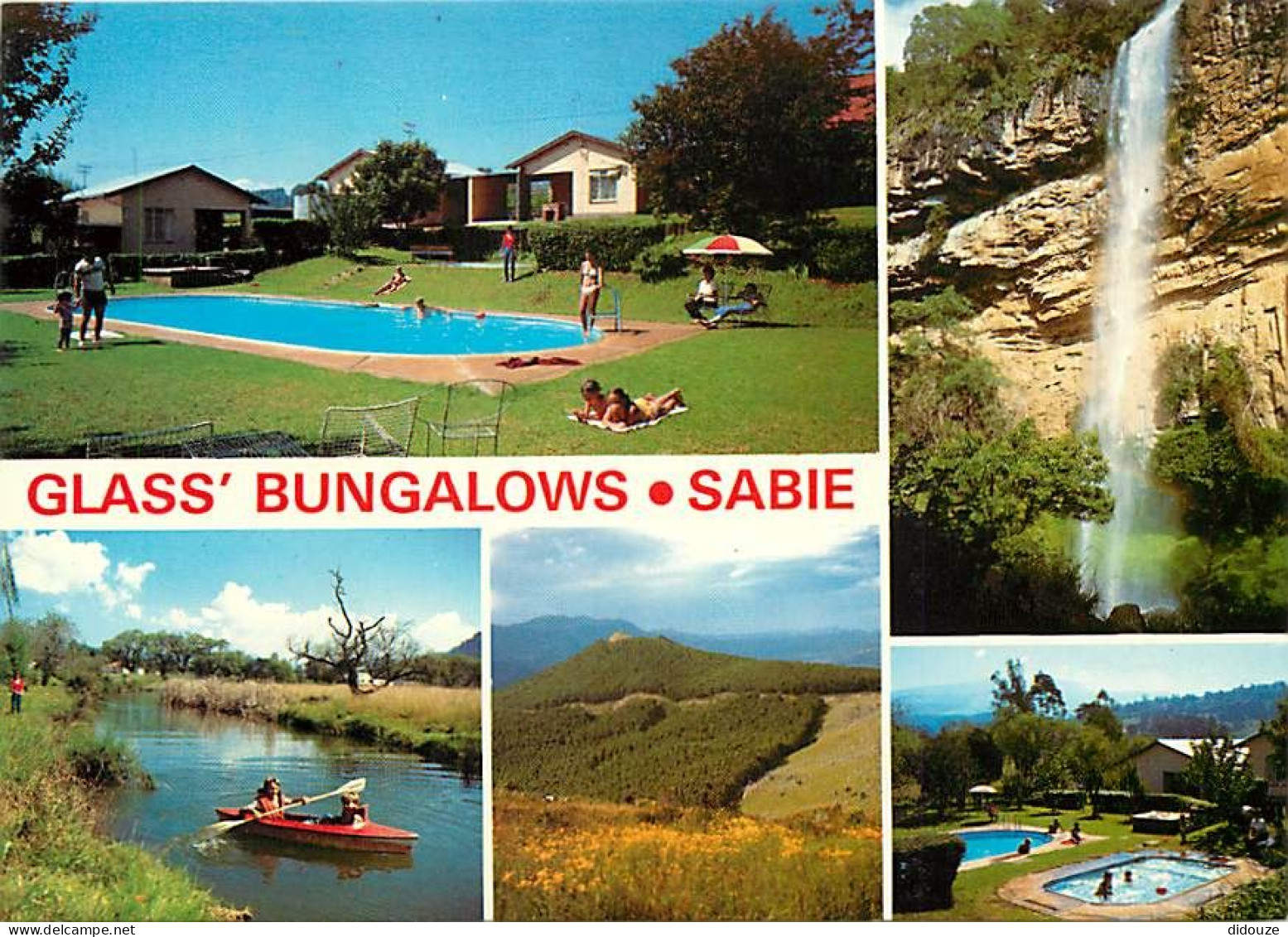 Carte Postale - Afrique du Sud - South Africa - Sabie - Glass Bungalows and Riverside Chalets - Multivues - Piscine - CP