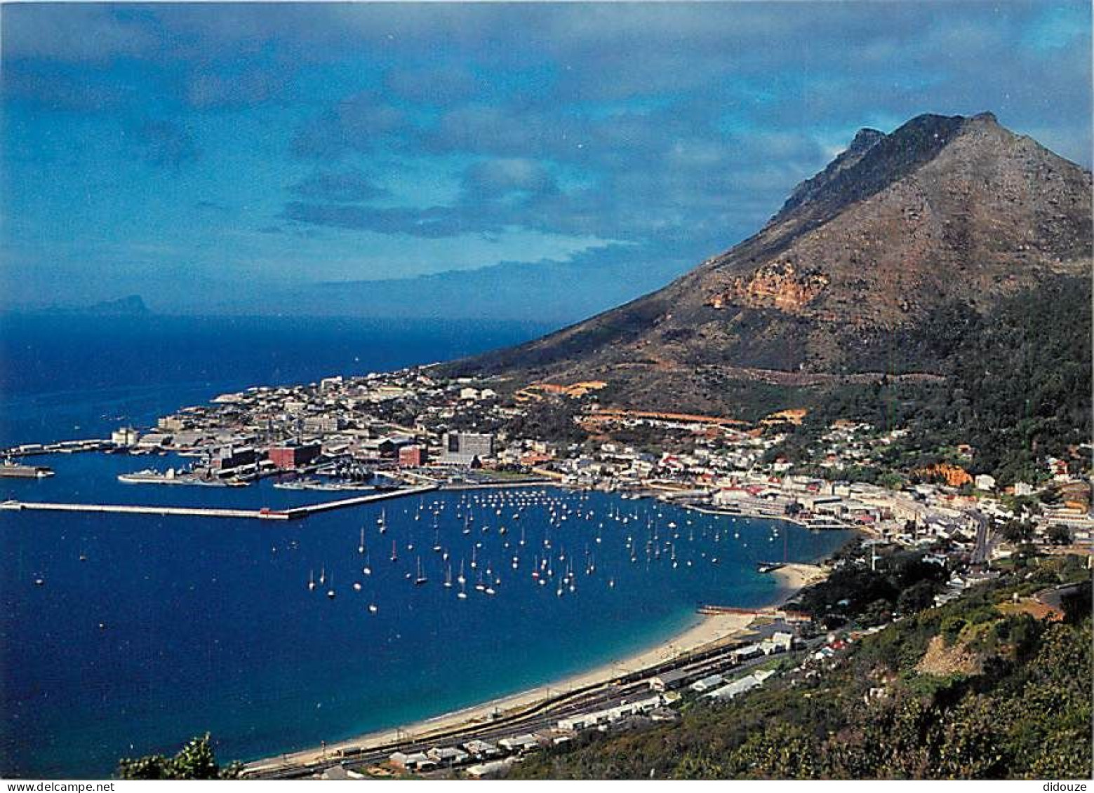 Carte Postale - Afrique du Sud - South Africa - Simonstown - near Cape Town - CPM - Voir Scans Recto-Verso - Poscard - C