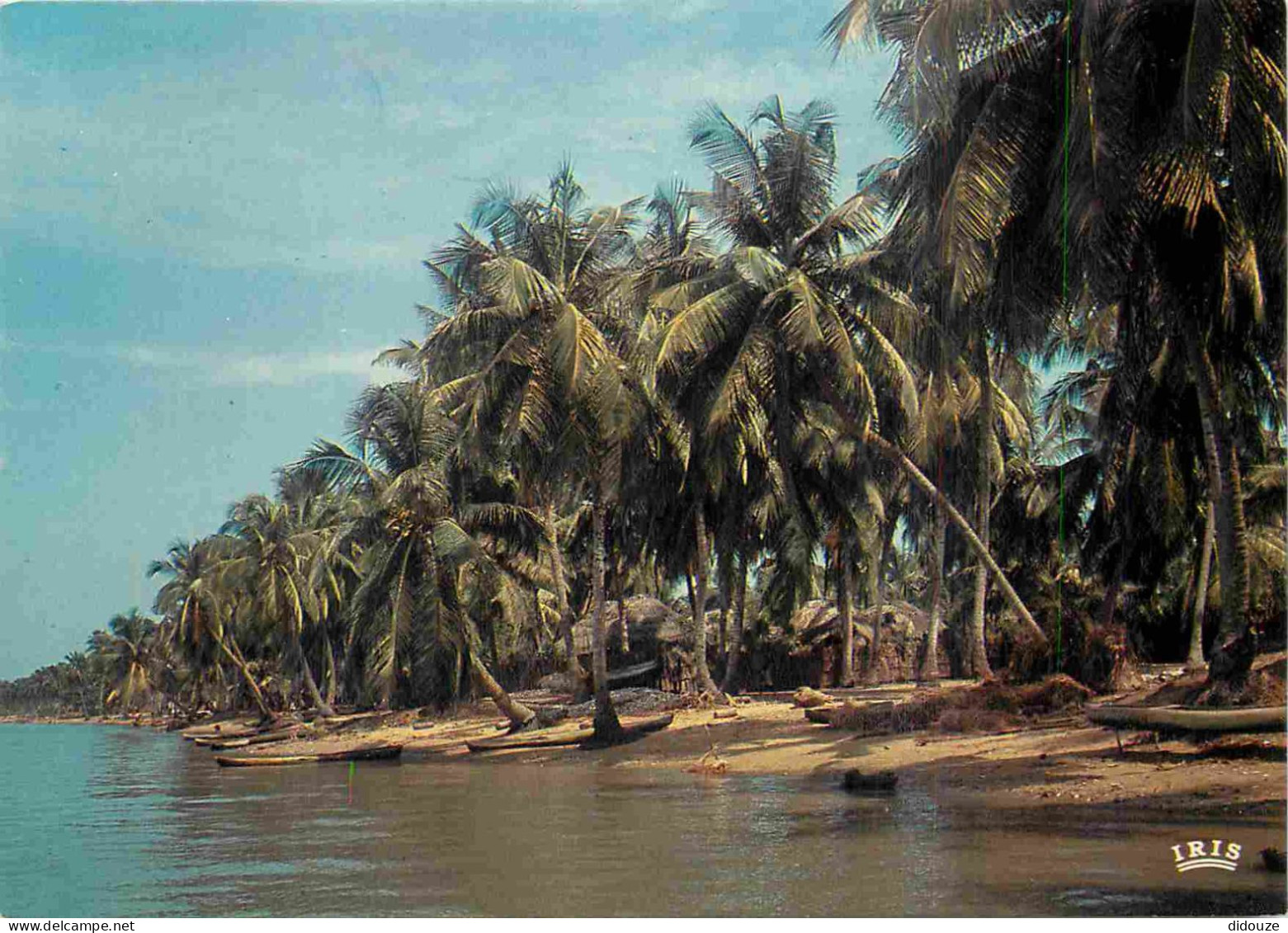 Carte Postale - Afrique Noire - Afrique en Couleurs - 8215 - Plage de cocotiers - CPM - Voir Scans Recto-Verso - Poscard