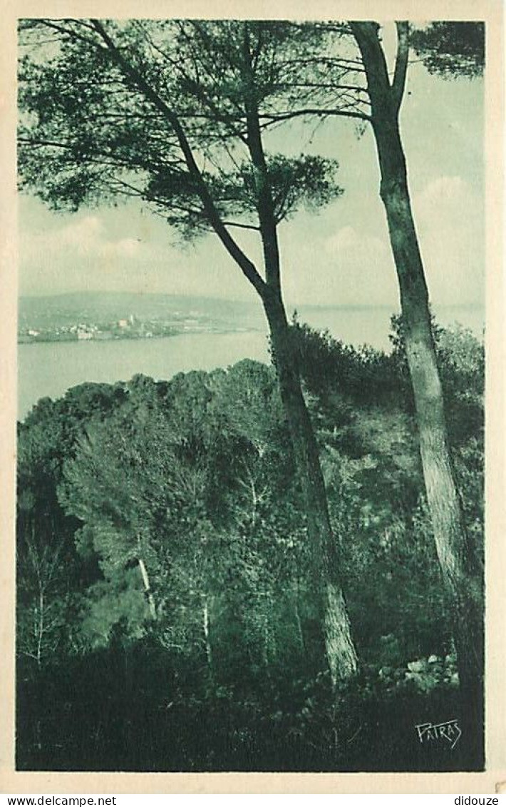Carte Postale Ancienne - 06 - Antibes - Les Remparts - Les vieux remparts vus du cap - CPA - Carte Neuve - Voir Scans Re