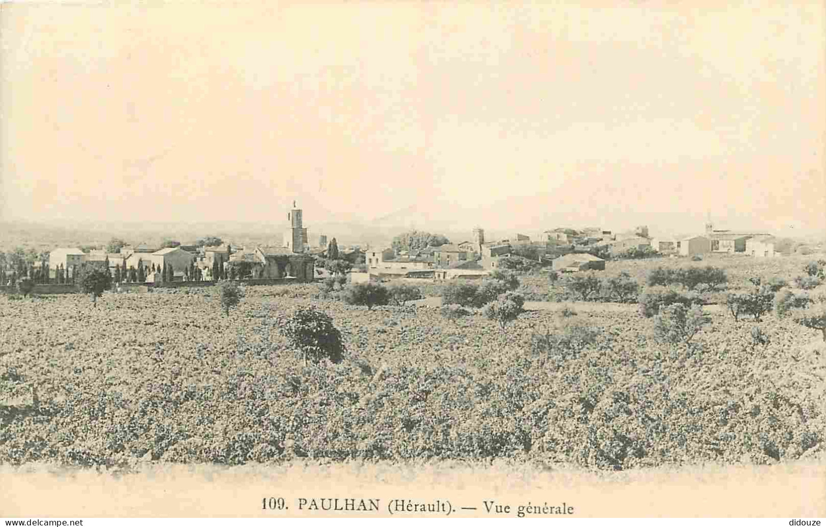 Carte Postale Ancienne - 34 - Paulhan - Vue Générale - Correspondance - CPA - Oblitération ronde de 1915 - Voir Scans Re