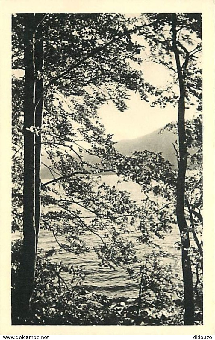 Carte Postale Ancienne - 38 - Laffrey - Le Lac de Laffrey - CPA - Voir Scans Recto-Verso - Poscard - Carta Postal -  Pos