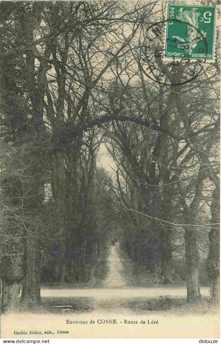 Carte Postale Ancienne - 58 - Cosne Cours sur Loire - environs de Cosne - Route de léré - CPA - Voir Scans Recto-Verso -