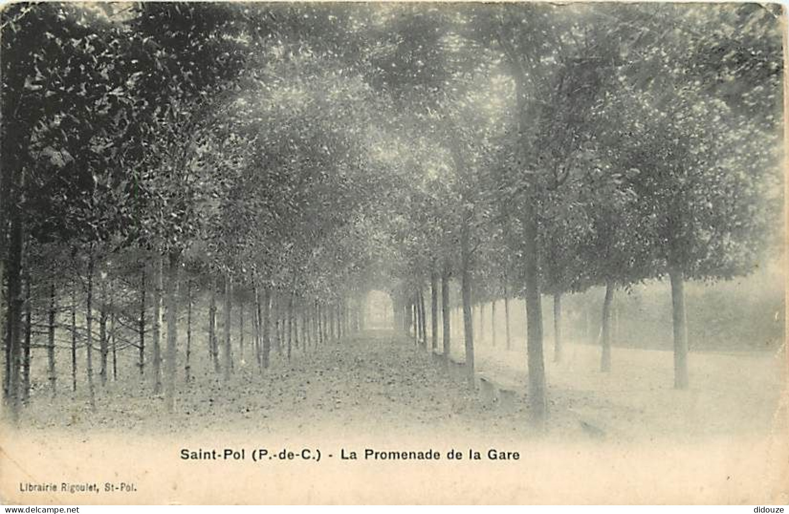 Carte Postale Ancienne - 62 - Saint Pol sur Ternoise - La Promenade de la Gare - Etat pli visible - CPA - Voir Scans Rec