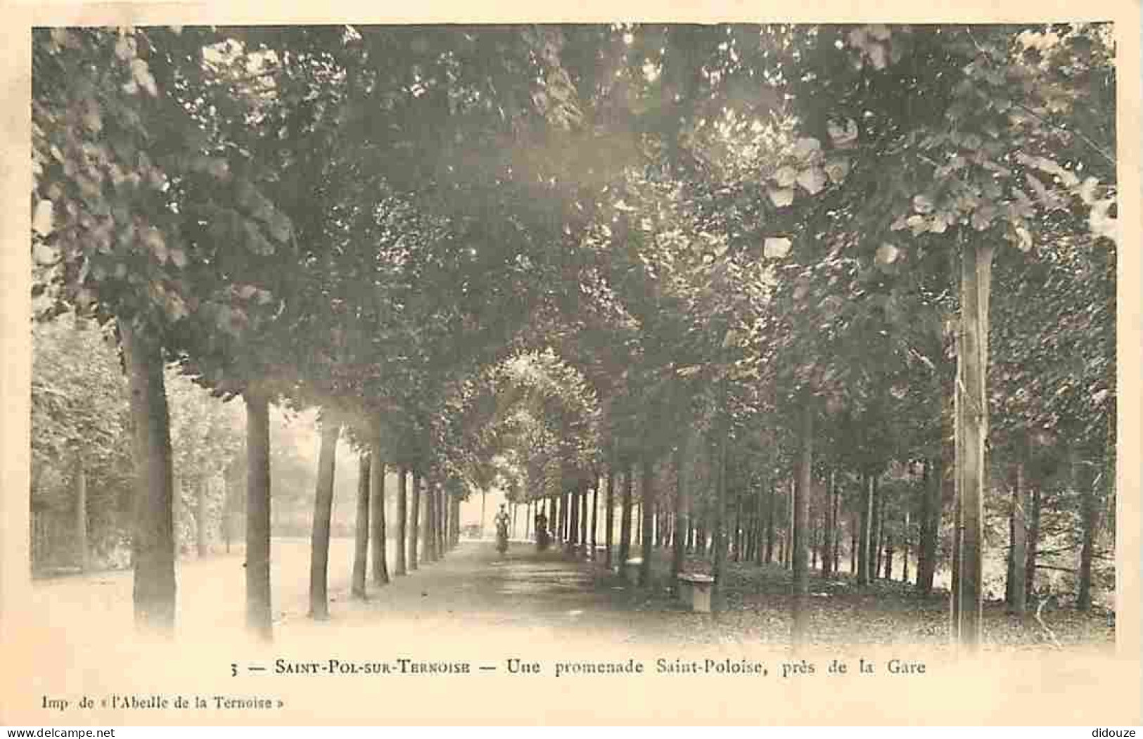 Carte Postale Ancienne - 62 - St Pol sur Ternoise - Une Promenade Saint Poloise près de la Gare - Animé - Carte Vierge -
