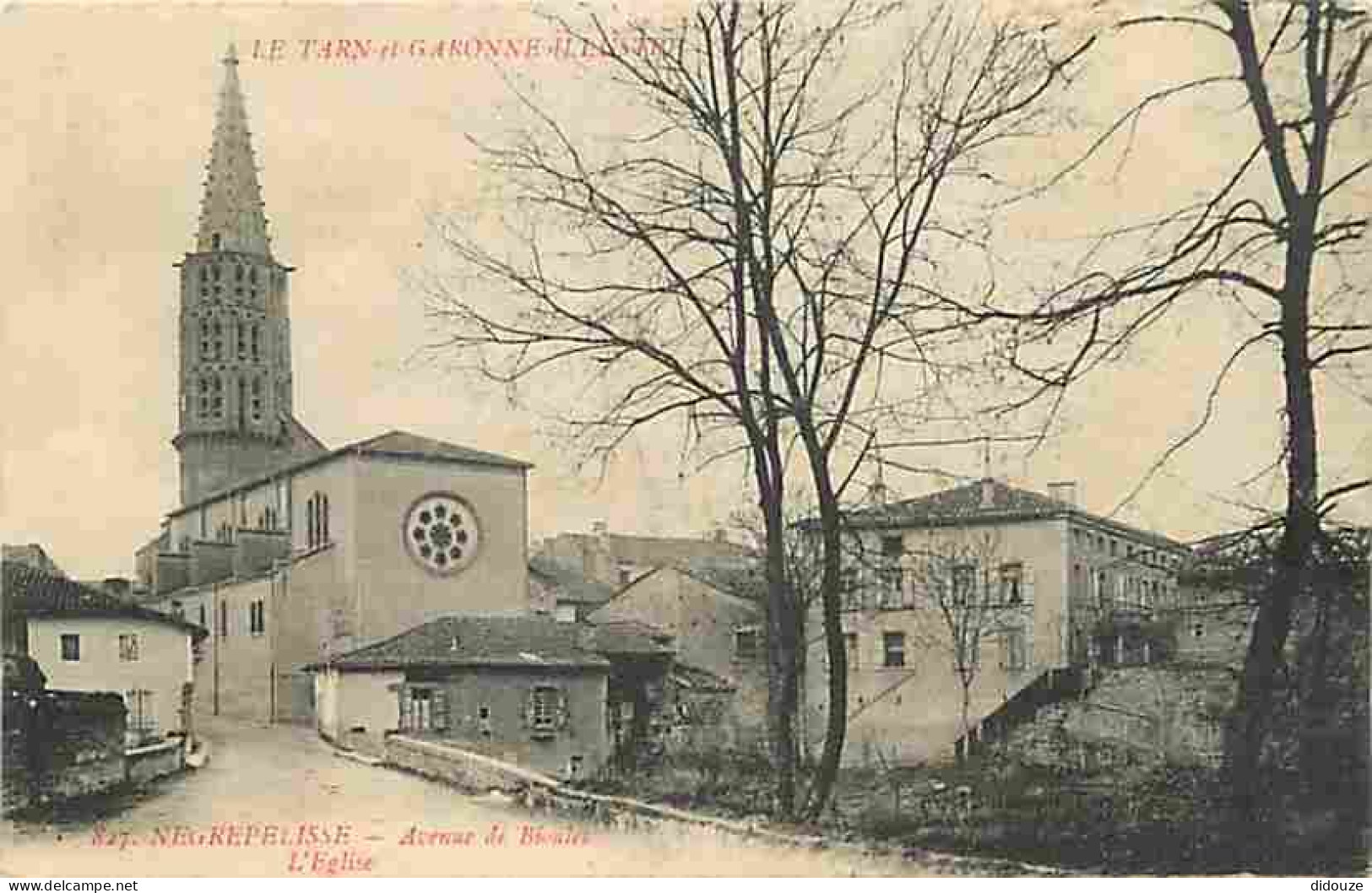 Carte Postale Ancienne - 82 - Nègrepelisse - Avenue de Bioules - L'Eglise - CPA - Voir Scans Recto-Verso - Poscard - Car