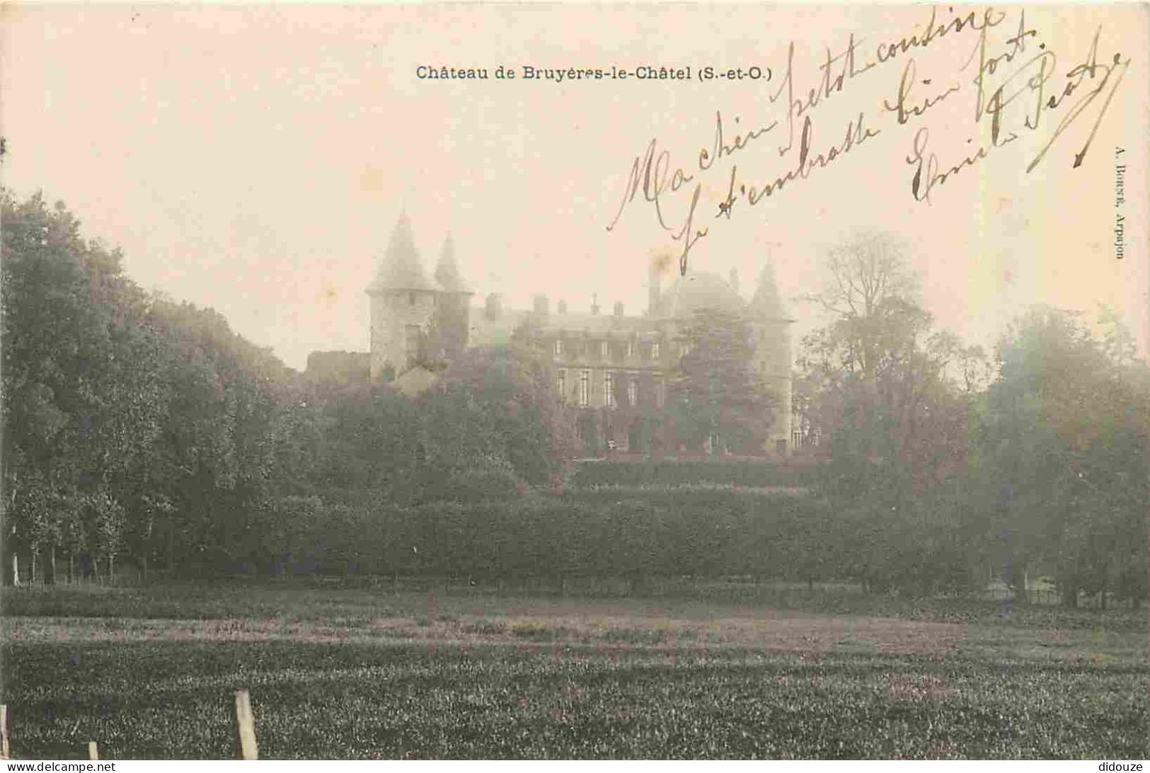 Carte Postale Ancienne - 91 - Bruyeres le Chatel - Le Château - CPA - Oblitération de 1904 - Voir Scans Recto-Verso - Po