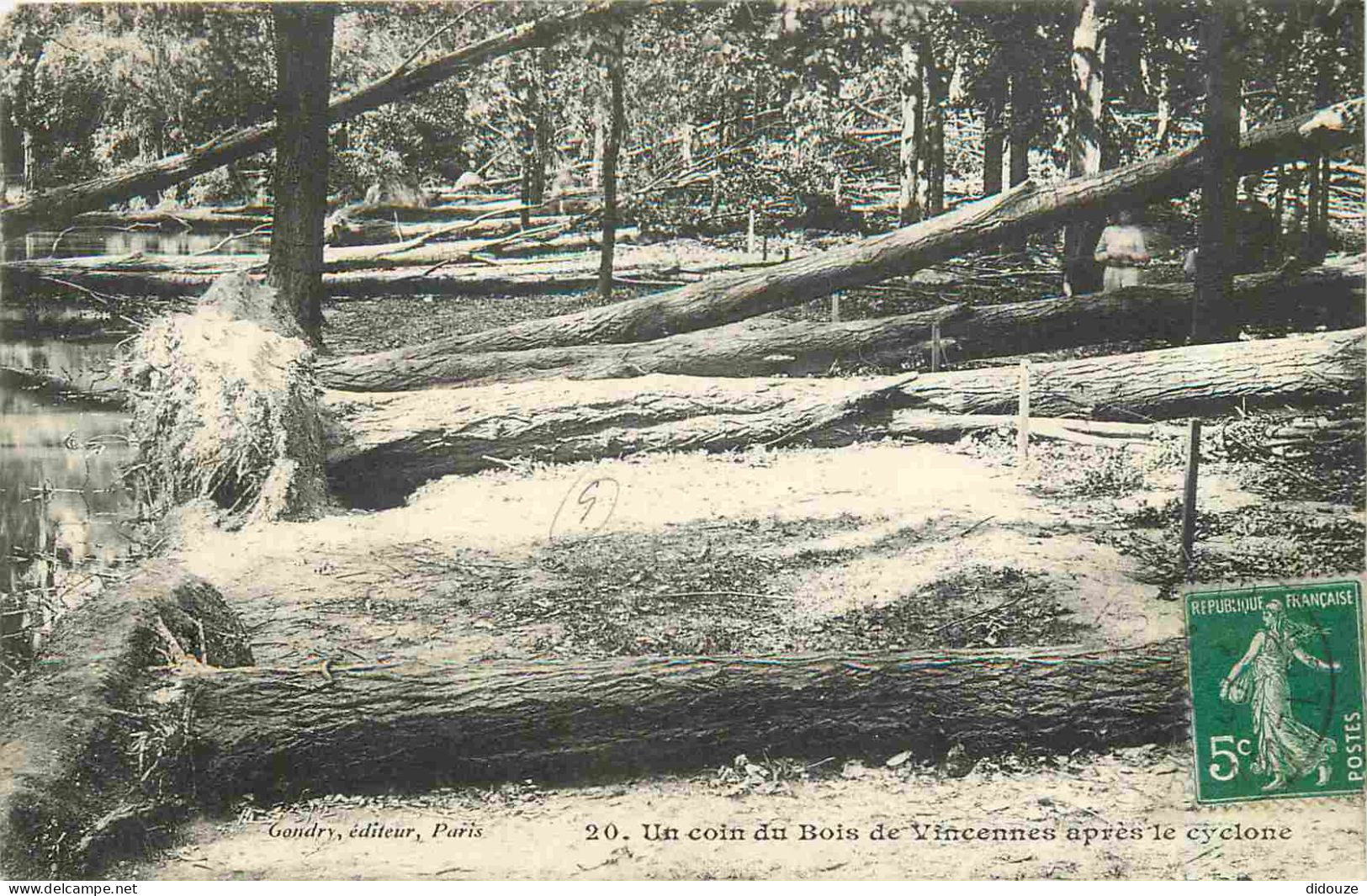 Carte Postale Ancienne - 94 - Vincennes - Bois de Vincennes - Un coin du Bois de Vincennes après le cyclone - CPA - Obli