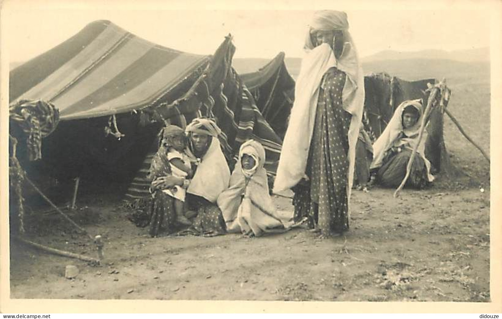 Carte Postale Ancienne - Algérie - Batna - Campement d'une famille arabe de la région de Batna - Animée - Carte Photo -