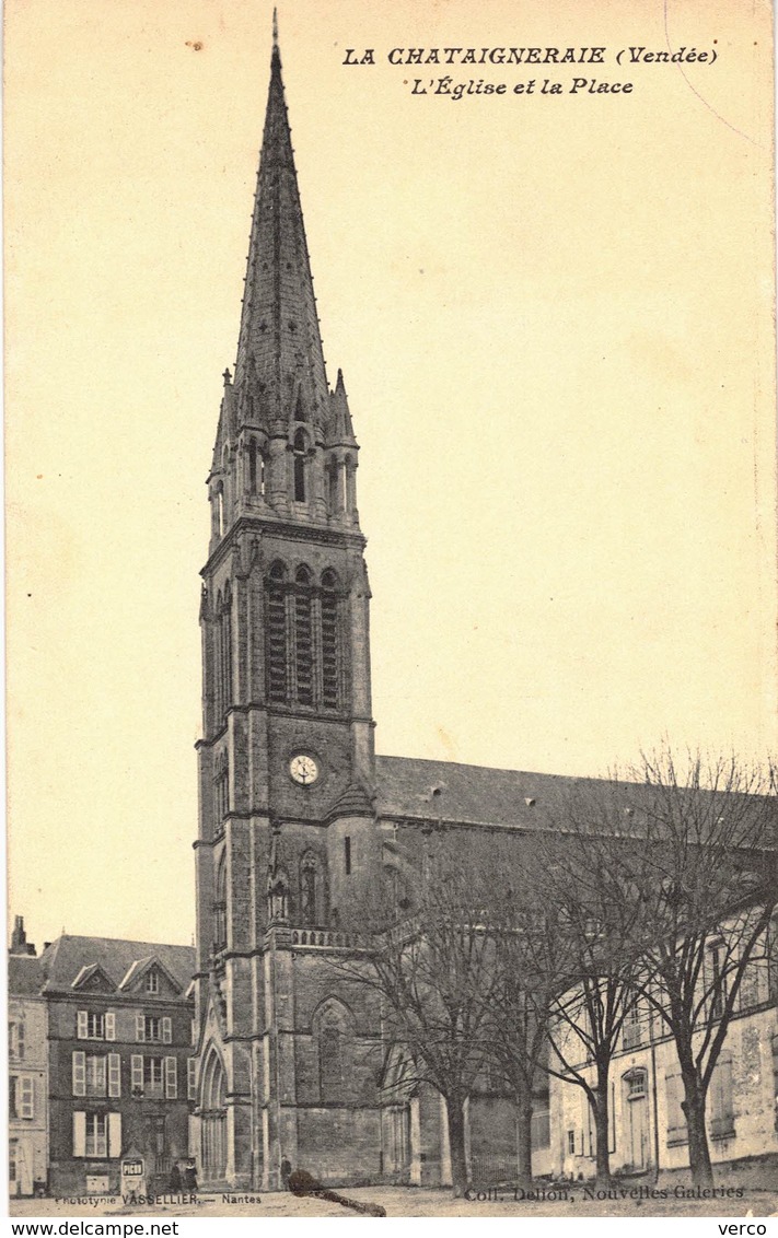Carte POSTALE Ancienne de   LA  CHATAIGNERAIE -