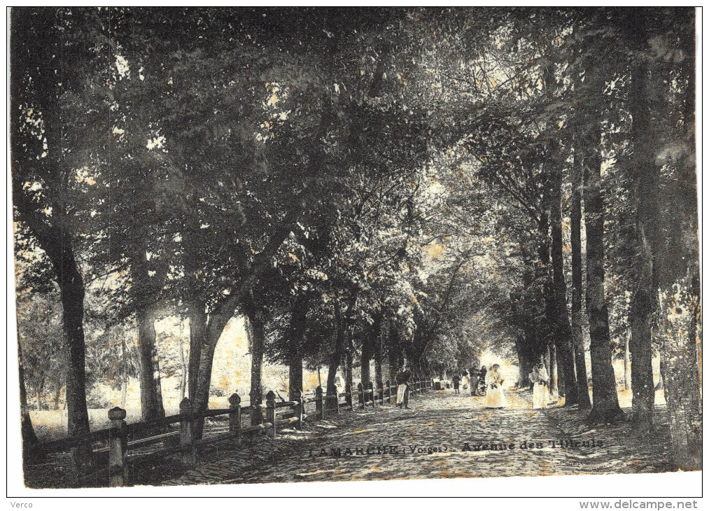 Carte Postale Ancienne de LAMARCHE