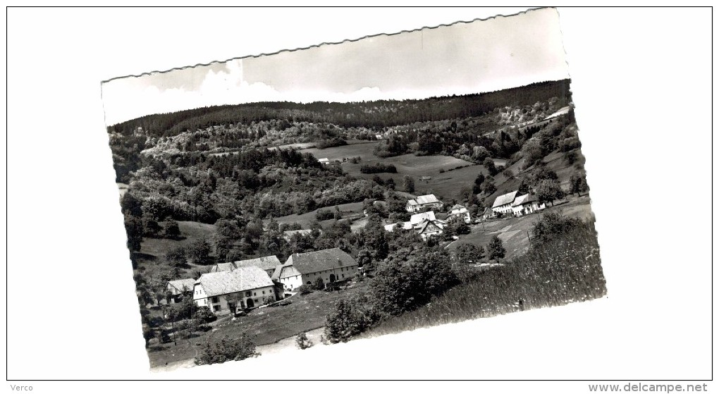 Carte Postale Ancienne de LAPOUTROIE-Colonie de Vacances La Tannière