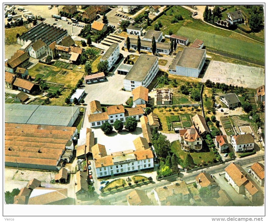 Carte Postale Ancienne de LE THILLOT