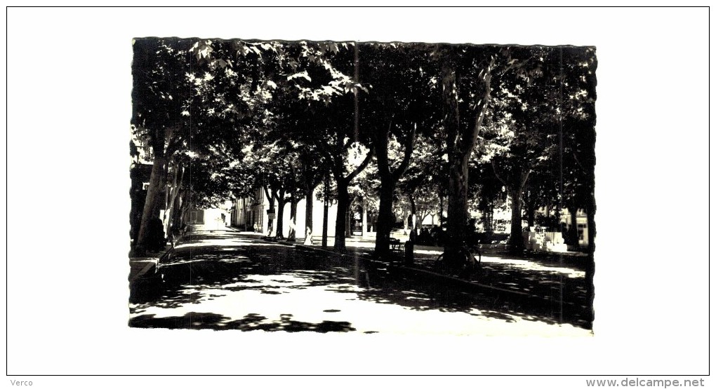 Carte Postale Ancienne de LES ARCS-Les Allées